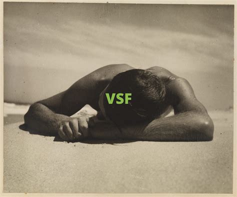 what does vsf mean.